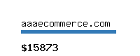 aaaecommerce.com Website value calculator