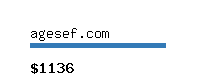 agesef.com Website value calculator