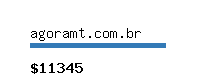 agoramt.com.br Website value calculator