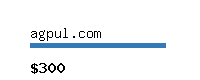 agpul.com Website value calculator