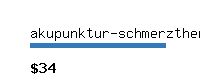 akupunktur-schmerztherapie.com Website value calculator