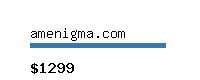 amenigma.com Website value calculator