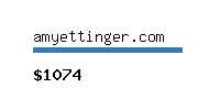 amyettinger.com Website value calculator