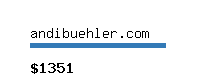 andibuehler.com Website value calculator