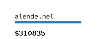 atende.net Website value calculator