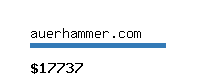 auerhammer.com Website value calculator