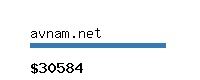 avnam.net Website value calculator