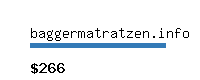 baggermatratzen.info Website value calculator