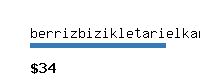 berrizbizikletarielkartea.com Website value calculator