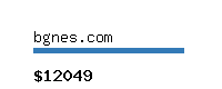 bgnes.com Website value calculator