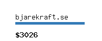 bjarekraft.se Website value calculator