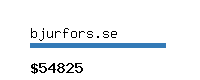 bjurfors.se Website value calculator