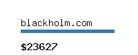 blackholm.com Website value calculator