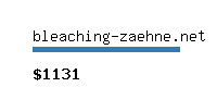 bleaching-zaehne.net Website value calculator