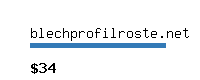 blechprofilroste.net Website value calculator