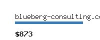 blueberg-consulting.com Website value calculator