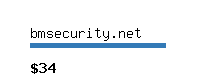 bmsecurity.net Website value calculator