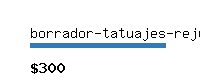 borrador-tatuajes-rejuvi.com Website value calculator