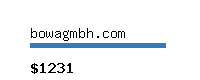 bowagmbh.com Website value calculator