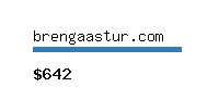 brengaastur.com Website value calculator