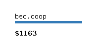 bsc.coop Website value calculator