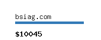 bsiag.com Website value calculator