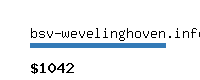 bsv-wevelinghoven.info Website value calculator