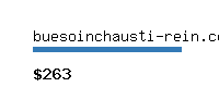 buesoinchausti-rein.com Website value calculator