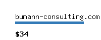 bumann-consulting.com Website value calculator