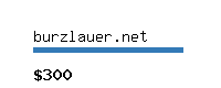 burzlauer.net Website value calculator