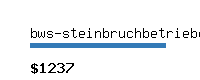 bws-steinbruchbetriebe.com Website value calculator