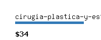 cirugia-plastica-y-estetica.com Website value calculator