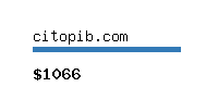 citopib.com Website value calculator