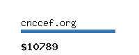 cnccef.org Website value calculator