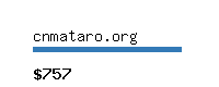 cnmataro.org Website value calculator