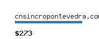 cnsincropontevedra.com Website value calculator