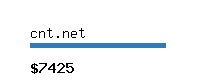 cnt.net Website value calculator