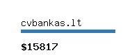 cvbankas.lt Website value calculator