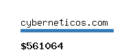 cyberneticos.com Website value calculator