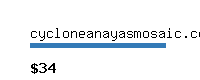 cycloneanayasmosaic.com Website value calculator