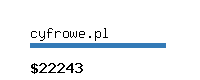 cyfrowe.pl Website value calculator