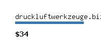 druckluftwerkzeuge.biz Website value calculator