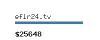 efir24.tv Website value calculator