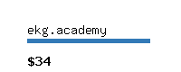 ekg.academy Website value calculator