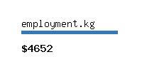 employment.kg Website value calculator