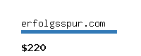 erfolgsspur.com Website value calculator