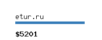 etur.ru Website value calculator