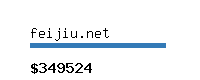 feijiu.net Website value calculator