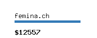 femina.ch Website value calculator