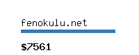 fenokulu.net Website value calculator